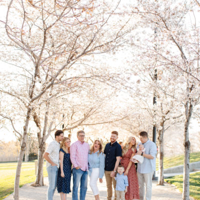 Utah Family Photographer | Jarvis | Utah Blossoms