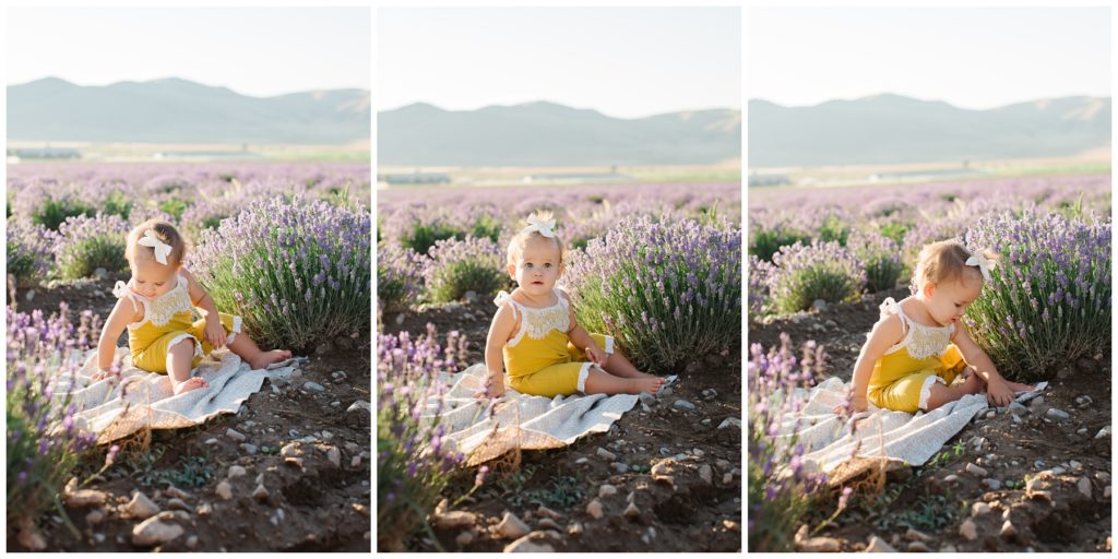Baby playing in the dirt at the lavender fields in Mona, Utah. Utah Lifestyle Family Session in the Young Living Lavender Fields. Mary Horne Nelson, 2021