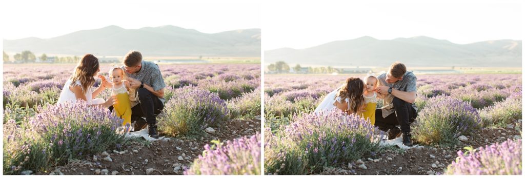 Family Bending down to play with one another. Utah Lifestyle Family Session in the Young Living Lavender Fields. Mary Horne Nelson, 2021