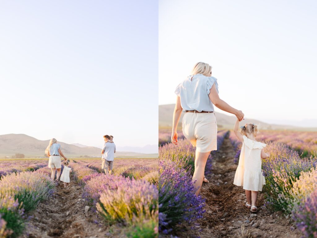 Family walking towards the summer sunset in the Utah lavender fields. 